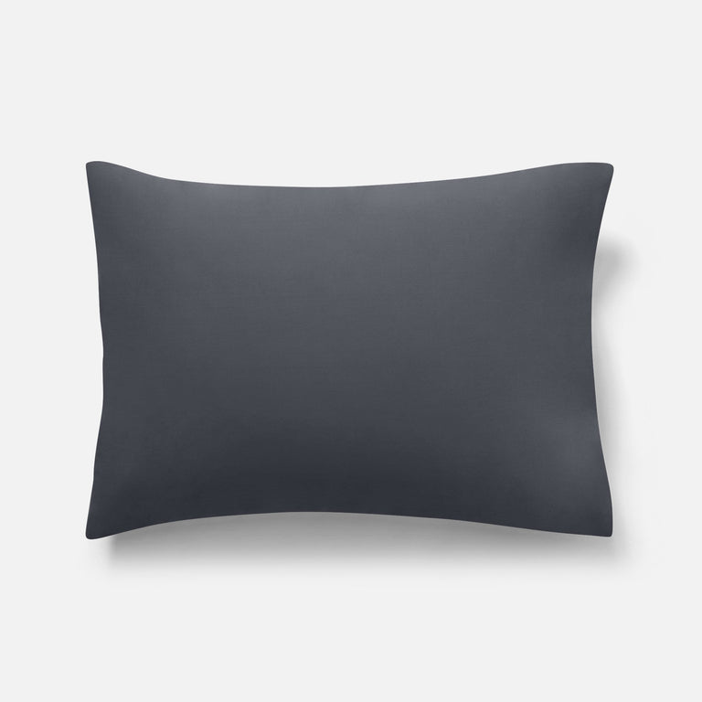 Graphite / Standard